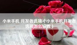 小米手机 开发者选项（小米手机开发者选项怎么设置）
