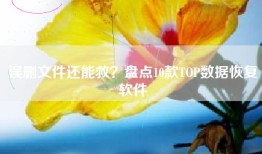 误删文件还能救？盘点10款TOP数据恢复软件
