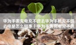 华为手表充电充不进去华为手机充不进去电是怎么回事「华为手表充电充不进去」