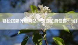 轻松搭建外贸网站，这些工具值得一试！