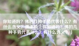 你知道吗？佛的几种手势代表什么？有什么含义？佛手机「你知道吗？佛的几种手势代表什么？有什么含义？」