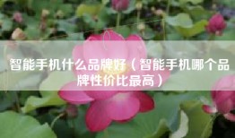 智能手机什么品牌好（智能手机哪个品牌性价比最高）