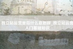 独立站运营是指什么意思呀_独立站运营入门基础知识