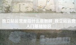独立站运营是指什么意思呀_独立站运营入门基础知识