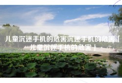 儿童沉迷手机的危害沉迷手机的危害「儿童沉迷手机的危害」