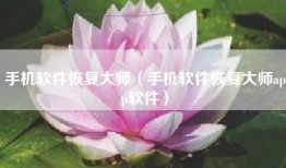 手机软件恢复大师（手机软件恢复大师app软件）