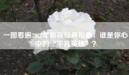 一图看遍2022年影视经典形象，谁是你心中的“平凡英雄”？