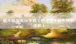 能不能充电玩手机（到底能不能充电玩手机）