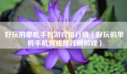 好玩的单机手机游戏排行榜（好玩的单机手机游戏排行榜游戏）