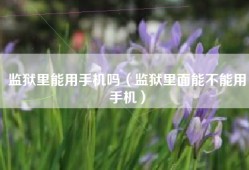 监狱里能用手机吗（监狱里面能不能用手机）