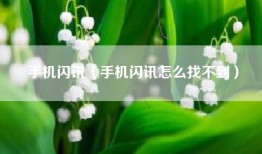 手机闪讯（手机闪讯怎么找不到）