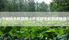 不花钱手机游戏（不花钱手机游戏推荐）