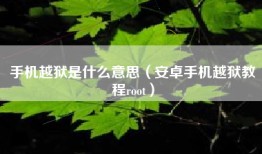 手机越狱是什么意思（安卓手机越狱教程root）