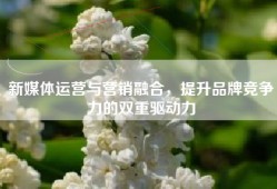 新媒体运营与营销融合，提升品牌竞争力的双重驱动力