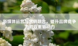 新媒体运营与营销融合，提升品牌竞争力的双重驱动力