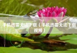 手机迅雷无法下载（手机迅雷无法下载视频）