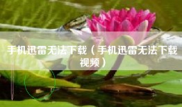 手机迅雷无法下载（手机迅雷无法下载视频）