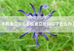 手机金立4G（手机金立密码忘了怎么办）