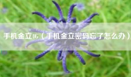 手机金立4G（手机金立密码忘了怎么办）