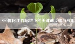 SEO优化,工作思维下的关键词步骤与应用