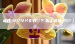 诵读 圣经圣经朗读手机版「诵读 圣经」