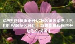 苹果相机权限未开启怎么设置苹果手机相机权限怎么开启「苹果相机权限未开启怎么设置」