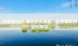 抖音短SEO关键词优化策略，打造爆款内容的秘诀