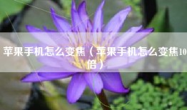 苹果手机怎么变焦（苹果手机怎么变焦10倍）