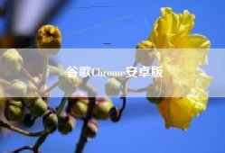 谷歌Chrome安卓版