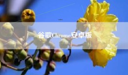 谷歌Chrome安卓版