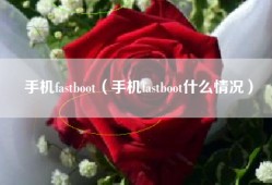 手机fastboot（手机fastboot什么情况）