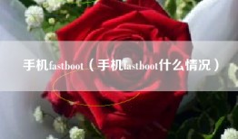 手机fastboot（手机fastboot什么情况）