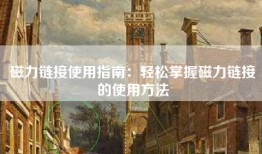 磁力链接使用指南：轻松掌握磁力链接的使用方法