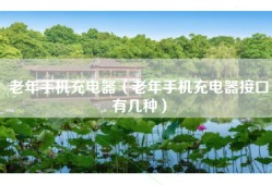 老年手机充电器（老年手机充电器接口有几种）