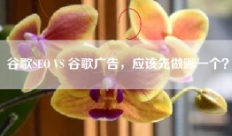 谷歌SEO VS 谷歌广告，应该先做哪一个？