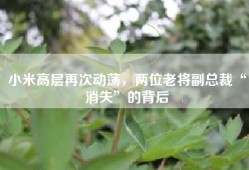 小米高层再次动荡，两位老将副总裁“消失”的背后