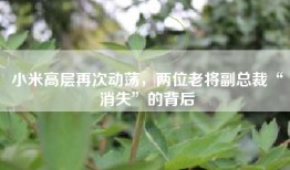小米高层再次动荡，两位老将副总裁“消失”的背后