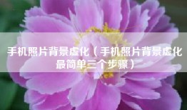手机照片背景虚化（手机照片背景虚化最简单三个步骤）
