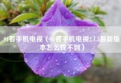 91看手机电视（91看手机电视2.1.5最新版本怎么找不到）
