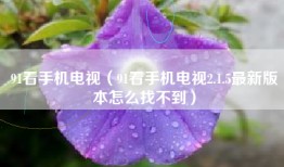 91看手机电视（91看手机电视2.1.5最新版本怎么找不到）