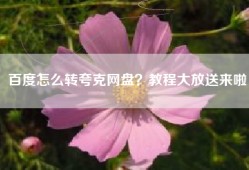 百度怎么转夸克网盘？教程大放送来啦