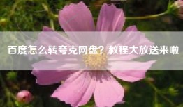 百度怎么转夸克网盘？教程大放送来啦