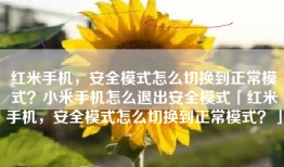 红米手机，安全模式怎么切换到正常模式？小米手机怎么退出安全模式「红米手机，安全模式怎么切换到正常模式？」