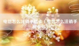 电信怎么注销手机卡（电信怎么注销手机卡号）