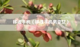 移魂手机（移魂手机男变女）