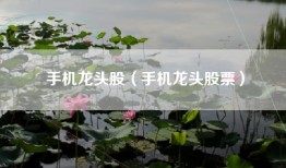 手机龙头股（手机龙头股票）