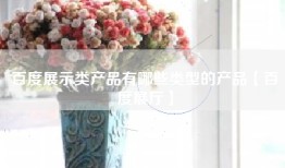 百度展示类产品有哪些类型的产品【百度展厅】