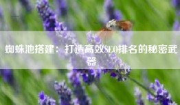 蜘蛛池搭建：打造高效SEO排名的秘密武器
