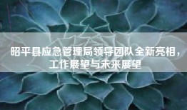 昭平县应急管理局领导团队全新亮相，工作展望与未来展望