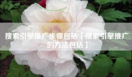 搜索引擎推广步骤包括【搜索引擎推广的方法包括】